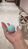 Laad en speel video af in Galerijviewer, Smart Cat Ball | De beste speelbal voor katten!
