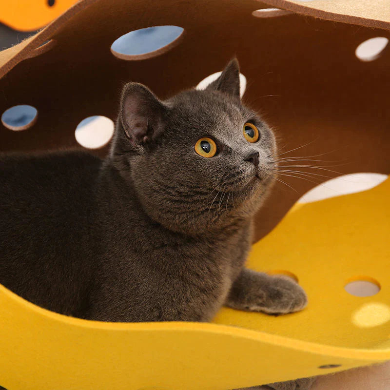 De Kattentunnel | Het multifunctionele kattenspeeltje